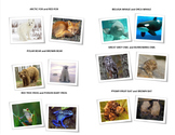 Adaptations in Animals (Diversity of Life Activity 8)