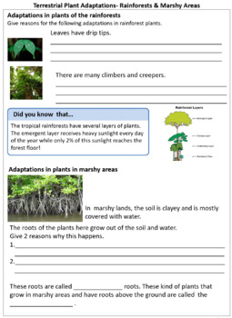 adaptations in plants terrestrial and aquatic worksheets for grade 4 5