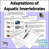 Adaptations of Aquatic Invertebrates Activity Marine Science