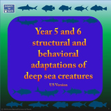 Adaptations of Deep Sea Creatures