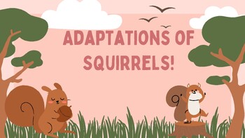 Preview of Adaptations of Squirrels