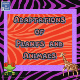Adaptations of plants and animals