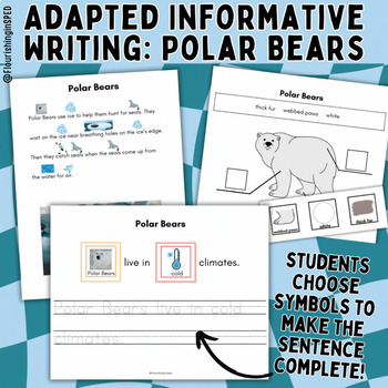 Preview of Differentiated Animal Reports | Adapted Informative Writing: Polar Bears