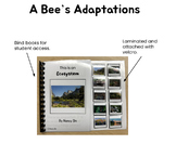 Adapted Book: "A Bee's Adaptations"