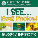 Vocabulary Adapted Book: I See + Bug (Insect) Spring Summe