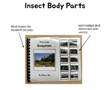 Adapted Book: "Insect Body Parts"