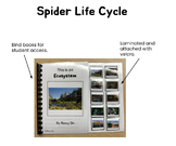 Adapted Book: "Spider Life Cycle"