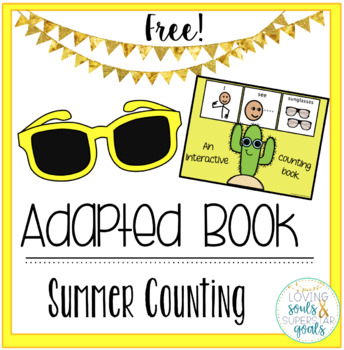Preview of Adapted Book: Sunglasses Summer Counting