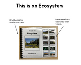 Adapted Book: "This is an Ecosystem"
