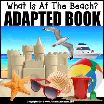 Preview of Adapted Book for Special Education WHAT IS AT THE BEACH