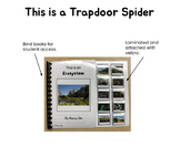 Adapted Books: "This is a Trapdoor Spider"