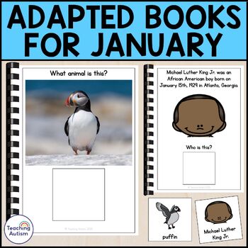 Preview of Adapted Books for January | January Classroom Activities