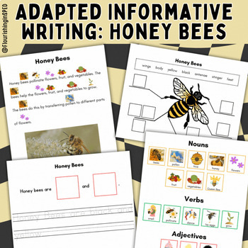 Preview of Differentiated Animal Reports: Adapted Informative Writing: Honey Bees