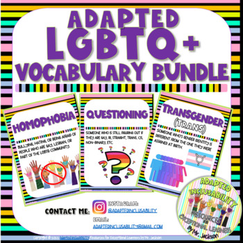 Preview of Adapted LGBTQ Vocabulary Bundle