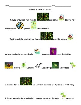 Preview of Adapted Reading-Animals and the Layers of the Rainforest