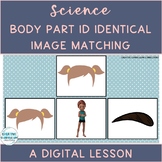 Adapted Science Body Part Identical Image Matching Digital