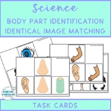 Adapted Science Body Part Identification Identical Image M