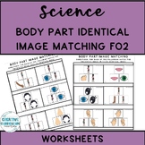 Adapted Science Body Part Identification Identical Image M