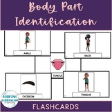 Preview of Adapted Science Body Part Identification Image & Name Flash Cards