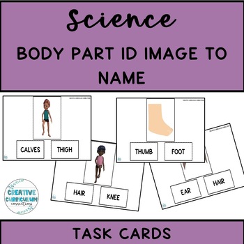 Preview of Adapted Science Body Part Identification Image to Name Task Cards