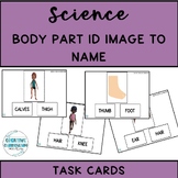 Adapted Science Body Part Identification Image to Name Task Cards