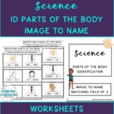 Adapted Science Body Part Identification Image to Name Worksheets