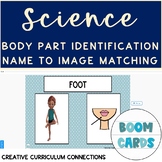 Adapted Science Body Part Identification Name To Image Boo