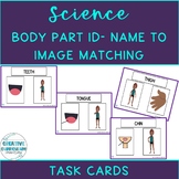 Adapted Science Body Part Identification Name To Image Task Cards