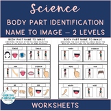 Adapted Science Body Part Identification Name To Image Wor