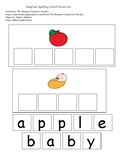 Adapted Spelling Dolch Word List (Noun List)