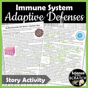 adaptive defenses humoral immunity