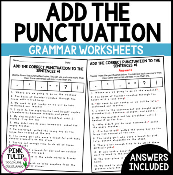 Preview of Add Punctuation to the Sentences - Worksheet Pack