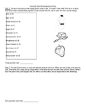 Adding and Subtracting Decimals Grocery Activity