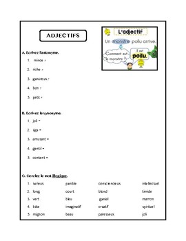 Preview of Adjectifs, verbes avoir et être, adjectives worksheet in French
