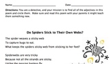 Adjective Detective! (with spider poem)