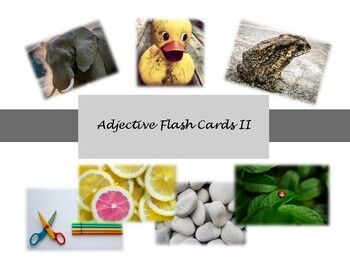 Preview of Language Kit | Adjective Picture Cards Set II