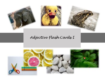 Preview of Language Kit | FREEBIE: Adjective Picture Cards Set I