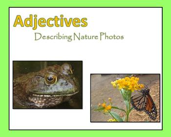 Preview of Adjectives PowerPoint - Describing Nature Photos