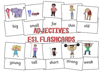 Tall, Short, Long Letters – ESL Flashcards