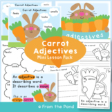 Adjectives Mini Lesson Resources