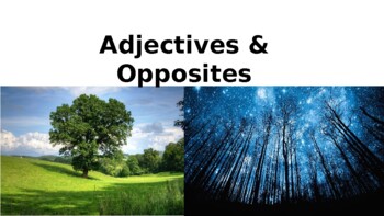 Preview of Adjectives & Opposites!