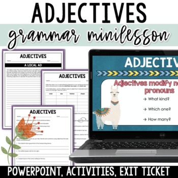 Preview of Adjectives Worksheets, Activities & Quiz - Common, Proper, Coordinate & Articles