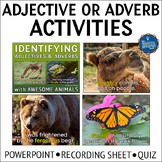 Adjectives and Adverbs PowerPoint Activities