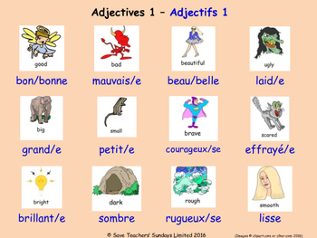Preview of Adjectives in French Posters / Slides