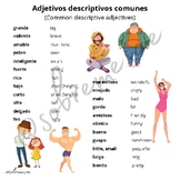 Adjetivos - Adjectives