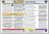 Adlestrop - Knowledge Organizer/ Revision Mat!