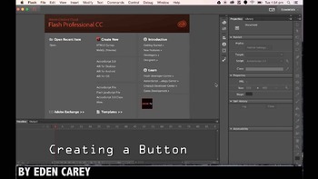 Preview of Adobe Flash Tutorial: Button