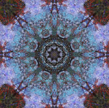 Preview of Adobe Photoshop: Kaleidoscope with Screenshots for High School