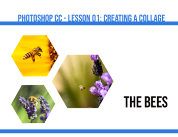 Preview of Adobe Photoshop Lesson 01 - Collage Using Clipping Mask