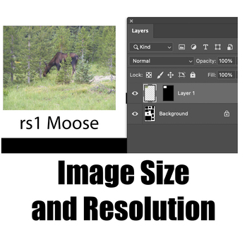 Preview of Adobe Photoshop Lesson 1: Image Size and Resolution
